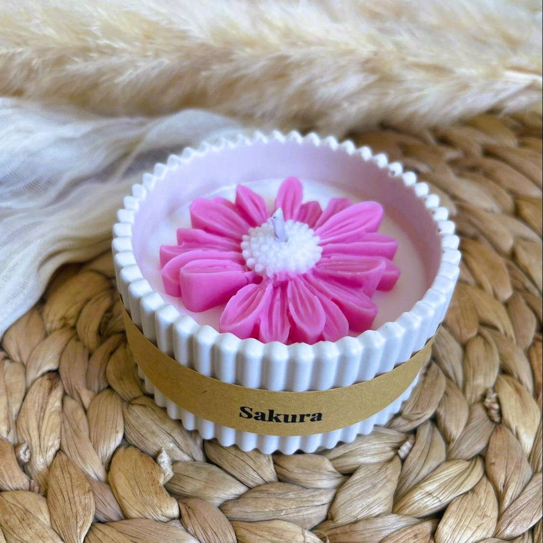 Mini Sakura