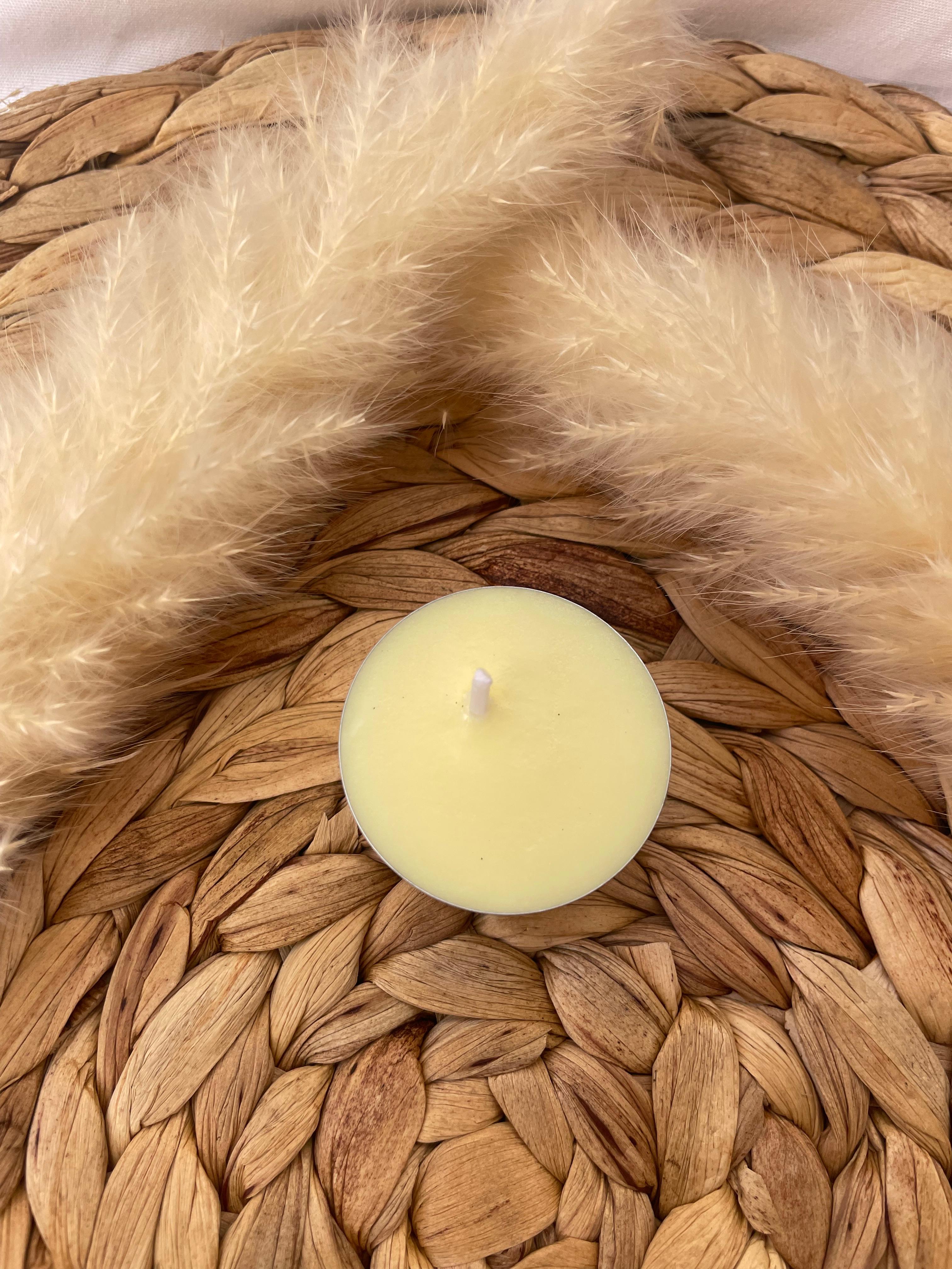 Set de 10 Velas de Té Aromáticas de Soja — Colección de Muestras